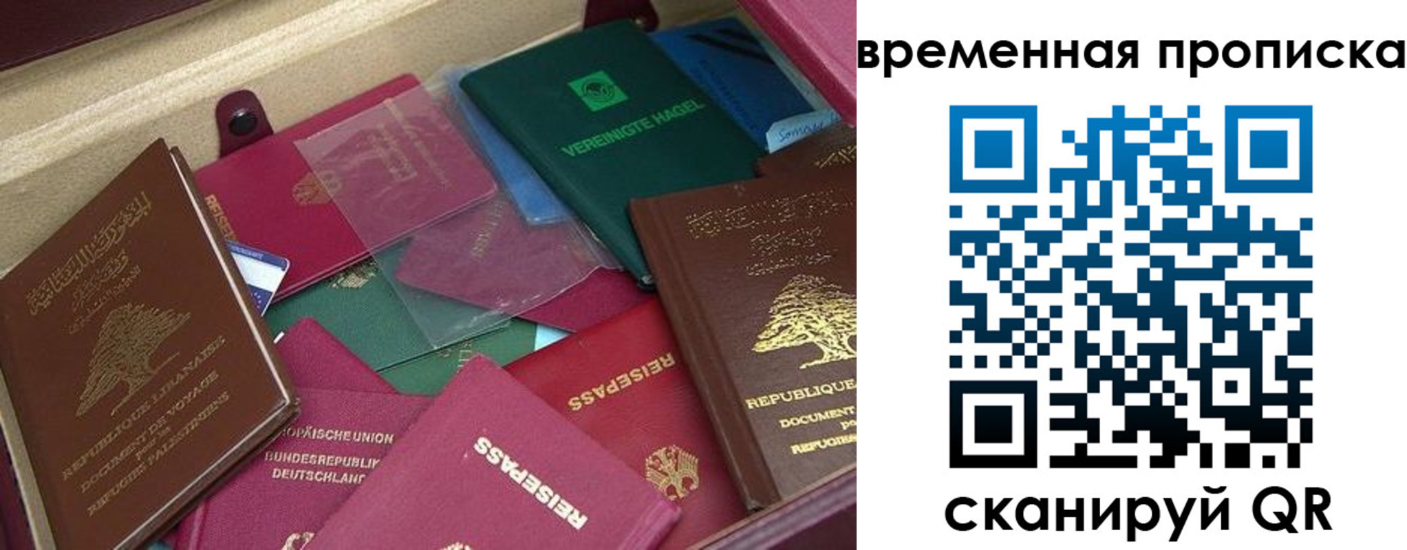 прописка в Ростовской области